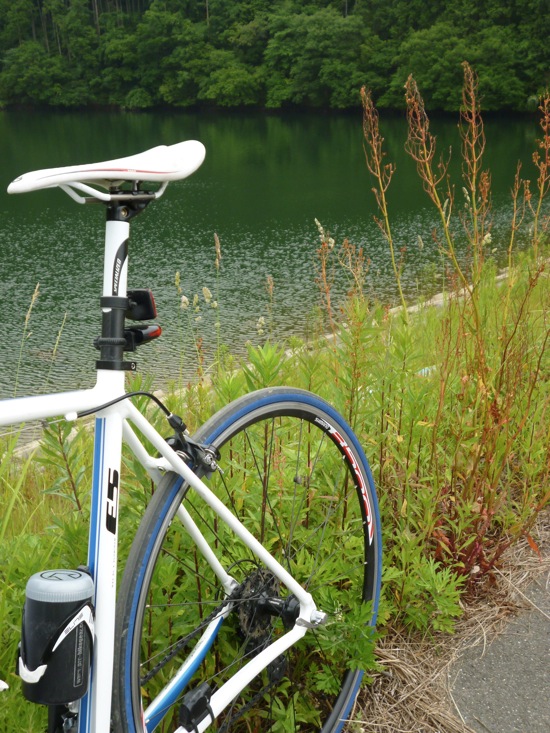 池と自転車